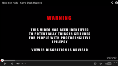 This warning is shown briefly before the video begins showing an onslaught of flashing images.